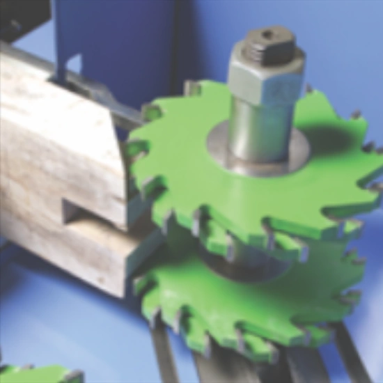 Untitled design - 2025-11-15T114441.005